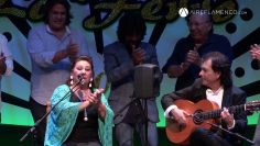 [ID: sbvcrU6QGWo] Youtube Automatic