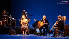 [ID: SConNqZxOaY] Youtube Automatic