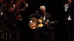 [ID: SEfWzJ615I0] Youtube Automatic