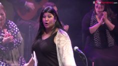 [ID: seG29A1YL6Y] Youtube Automatic