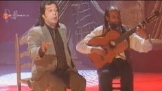 [ID: SeSrbMQEKkY] Youtube Automatic