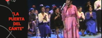 [ID: sId0d2tTc8I] Youtube Automatic