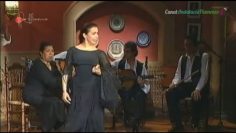 [ID: SIR1O8Htcl0] Youtube Automatic