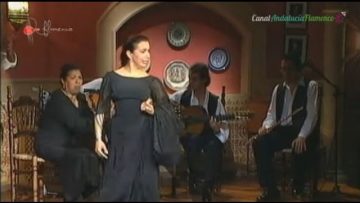 [ID: SIR1O8Htcl0] Youtube Automatic