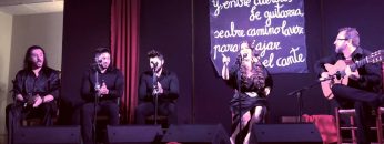 [ID: SjsTOncBsN8] Youtube Automatic