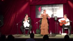 [ID: SJXiK94LP9E] Youtube Automatic