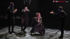 [ID: SmCITtn0Wjw] Youtube Automatic