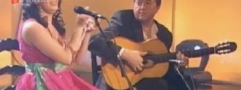 [ID: sO8uNPJdwu4] Youtube Automatic