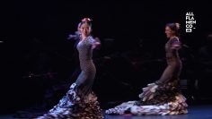 [ID: srEEfnGCTAs] Youtube Automatic