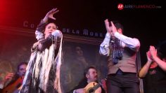 [ID: swzj9ZwZ4ls] Youtube Automatic