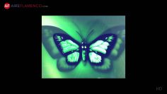 [ID: Sx8Fe9L_vkM] Youtube Automatic