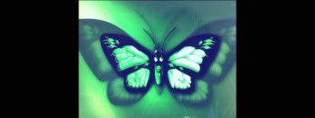 [ID: Sx8Fe9L_vkM] Youtube Automatic