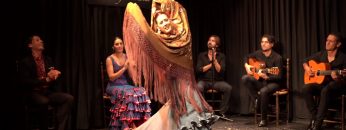 [ID: sX8jkzPzC6w] Youtube Automatic