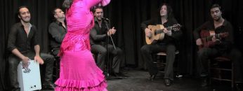 [ID: SY6Vy9tKW3U] Youtube Automatic