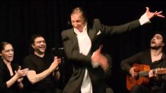 [ID: sYYLS2SDwE0] Youtube Automatic