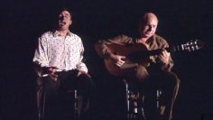 [ID: t19GOvbzffg] Youtube Automatic