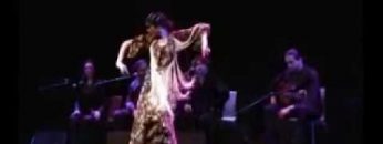 [ID: t8mkF5clNAw] Youtube Automatic