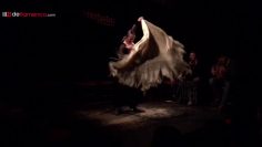 [ID: ta16G9Zn_HY] Youtube Automatic