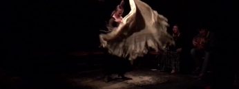 [ID: ta16G9Zn_HY] Youtube Automatic