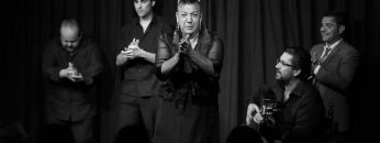 [ID: Ta_ksXSRhxg] Youtube Automatic