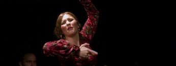 [ID: TB78g2NK_yQ] Youtube Automatic