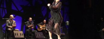 [ID: tCbuPiOD48k] Youtube Automatic