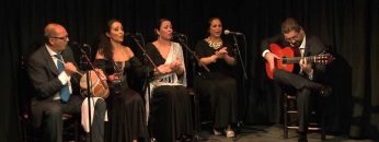 [ID: tcIf347OPTA] Youtube Automatic