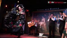 [ID: TD_6825e4AQ] Youtube Automatic