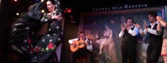 [ID: TD_6825e4AQ] Youtube Automatic