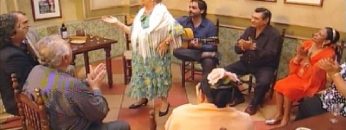 [ID: TfSQ3GyvzS8] Youtube Automatic