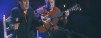 [ID: TgxFzWvgoAM] Youtube Automatic