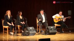 [ID: tGznA1bN7uI] Youtube Automatic