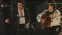 [ID: tiG7Z-Bwaxc] Youtube Automatic