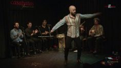 [ID: Tjv65L38f2A] Youtube Automatic