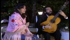 [ID: TkuzjpZTwZI] Youtube Automatic