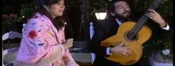 [ID: TkuzjpZTwZI] Youtube Automatic