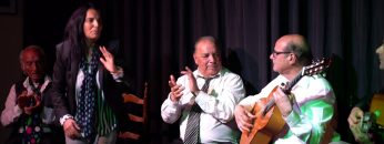 [ID: TKxcxb-9sTk] Youtube Automatic