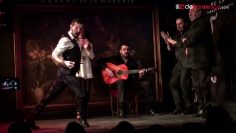 [ID: TmPH__pO6Xg] Youtube Automatic