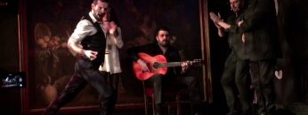 [ID: TmPH__pO6Xg] Youtube Automatic