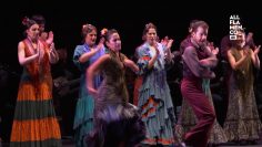 [ID: tMSyppjirPU] Youtube Automatic