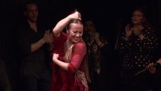 [ID: TmvgXiSwN0o] Youtube Automatic