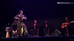 [ID: tnIW_euZDjA] Youtube Automatic