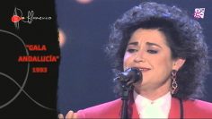 [ID: tOWDjMaaQyg] Youtube Automatic