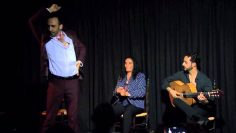 [ID: tP__aOUoSxU] Youtube Automatic