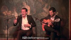 [ID: TQgOI2EQN1s] Youtube Automatic