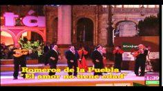 [ID: T_qlH3n7taQ] Youtube Automatic