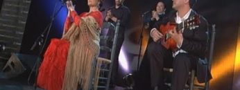 [ID: TQou3EEbIvo] Youtube Automatic