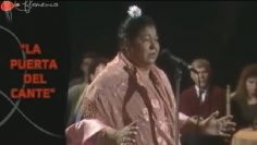 [ID: TUDGah4_mlk] Youtube Automatic