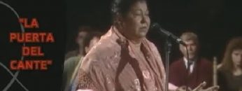 [ID: TUDGah4_mlk] Youtube Automatic