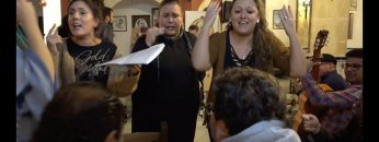 [ID: Tx6ZYXB3__E] Youtube Automatic